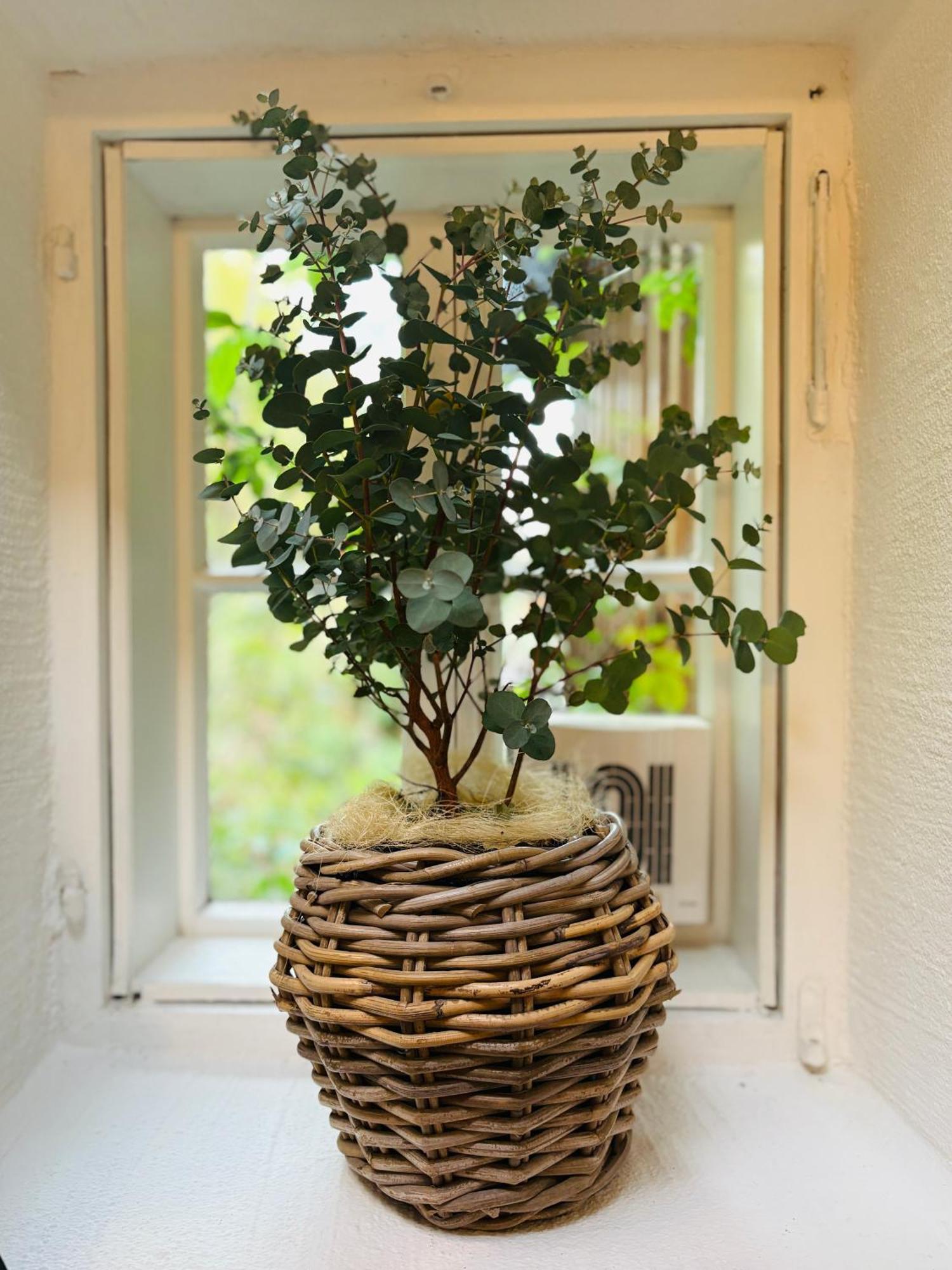 Apt. Stone-lodge Appartamento Salisburgo